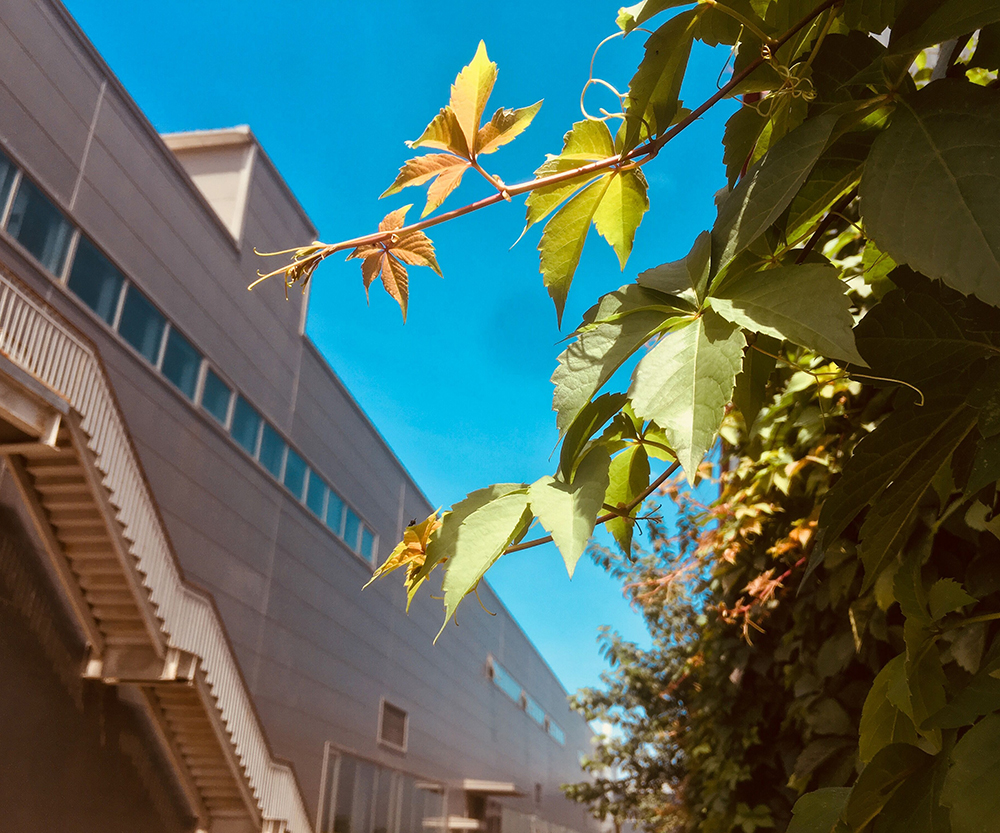 1604049174618286.jpg 微信确定大图24.jpg