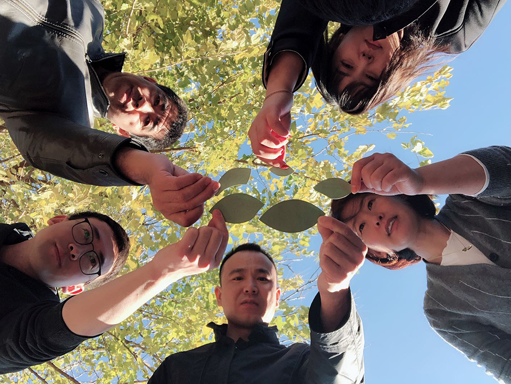 1604049196794769.jpg 微信确定大图26.jpg