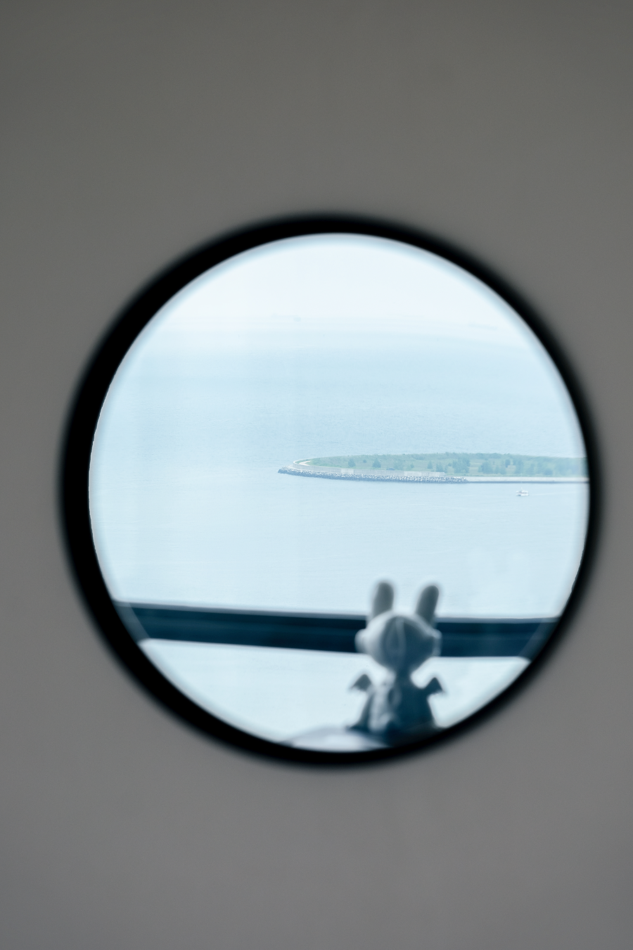 1736327890981299.png 39.png